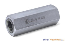 Load image into Gallery viewer, Tognella 260/6-14 Hydraulic Check Valve 1/4&quot; - British Pneumatics (Online Wholesale)